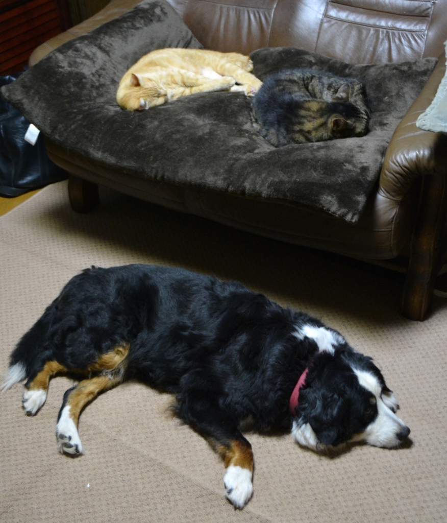 DSC_0166.JPG