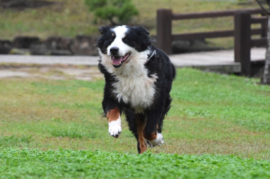 DSC_9344.JPG