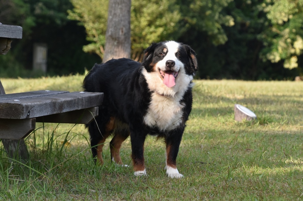 DSC_9823.JPG
