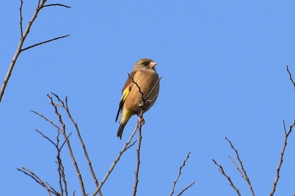 DSC_1824.JPG