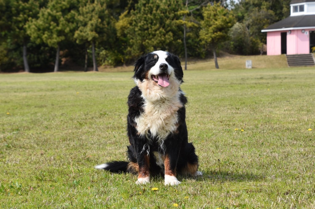 DSC_3330.JPG