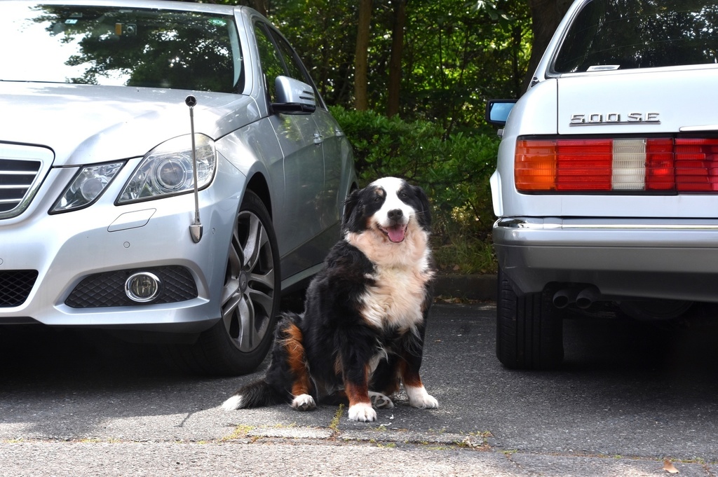 DSC_6442.JPG