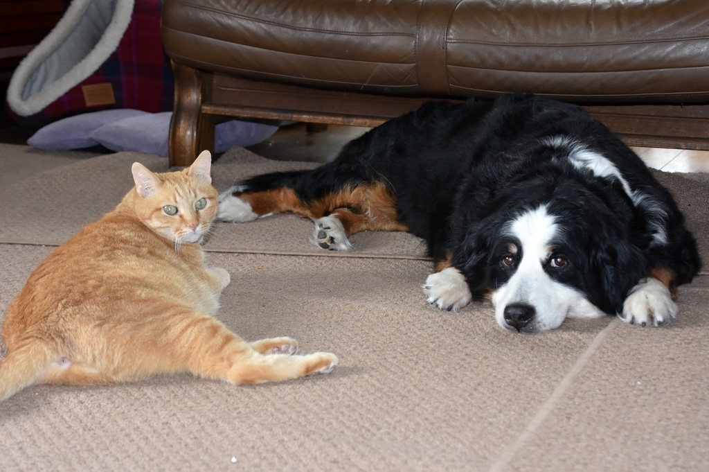 DSC_6588.JPG