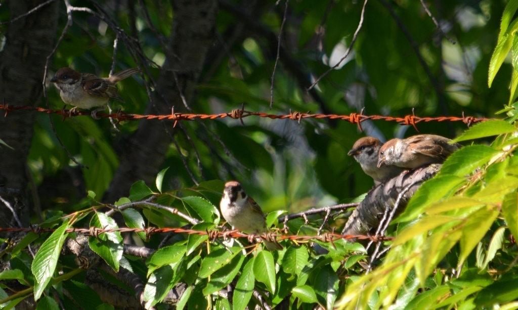 DSC_0352.JPG