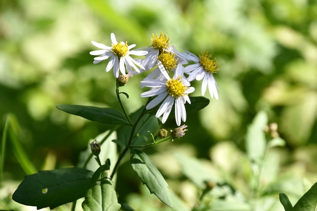 DSC_1409.JPG