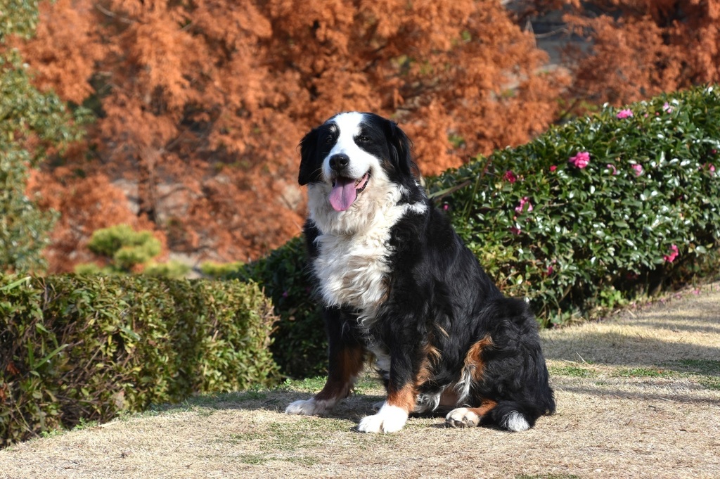DSC_5728.JPG