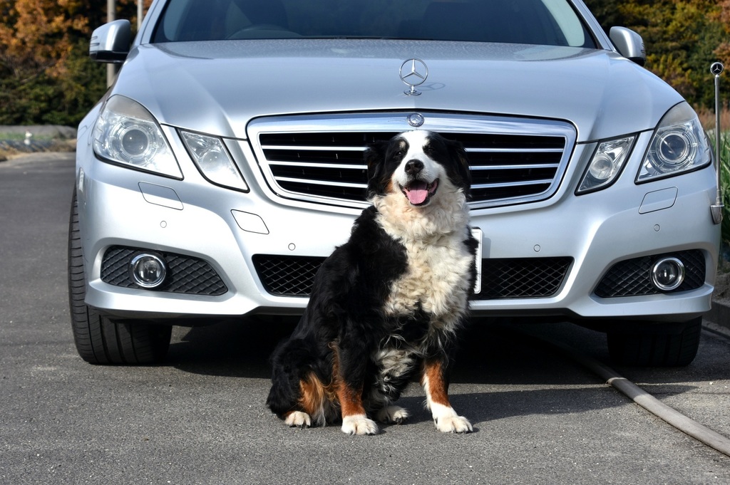DSC_7533.JPG