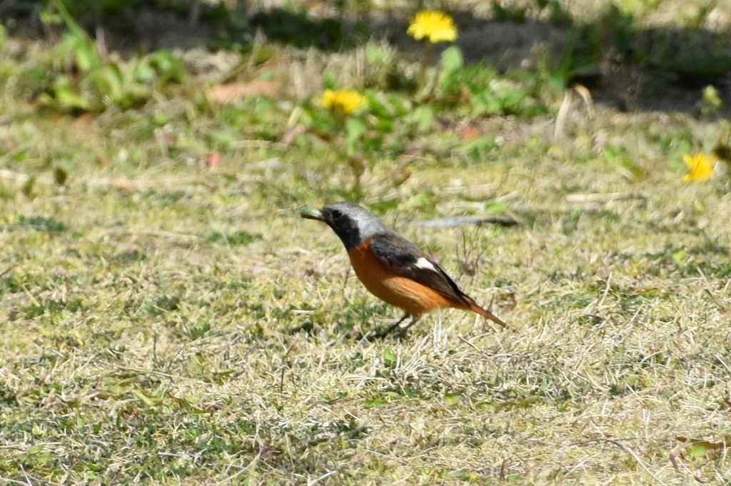 DSC_5632.JPG