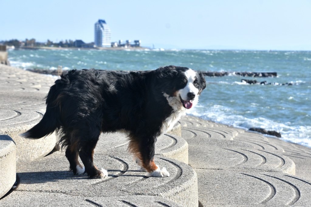 DSC_8761.JPG