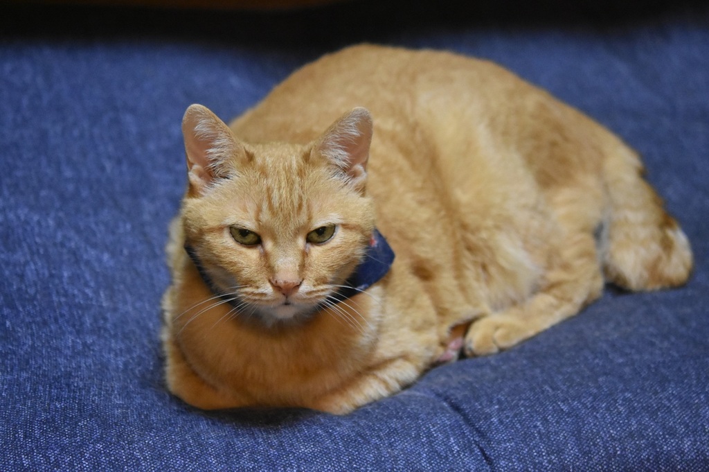 DSC_2866.JPG