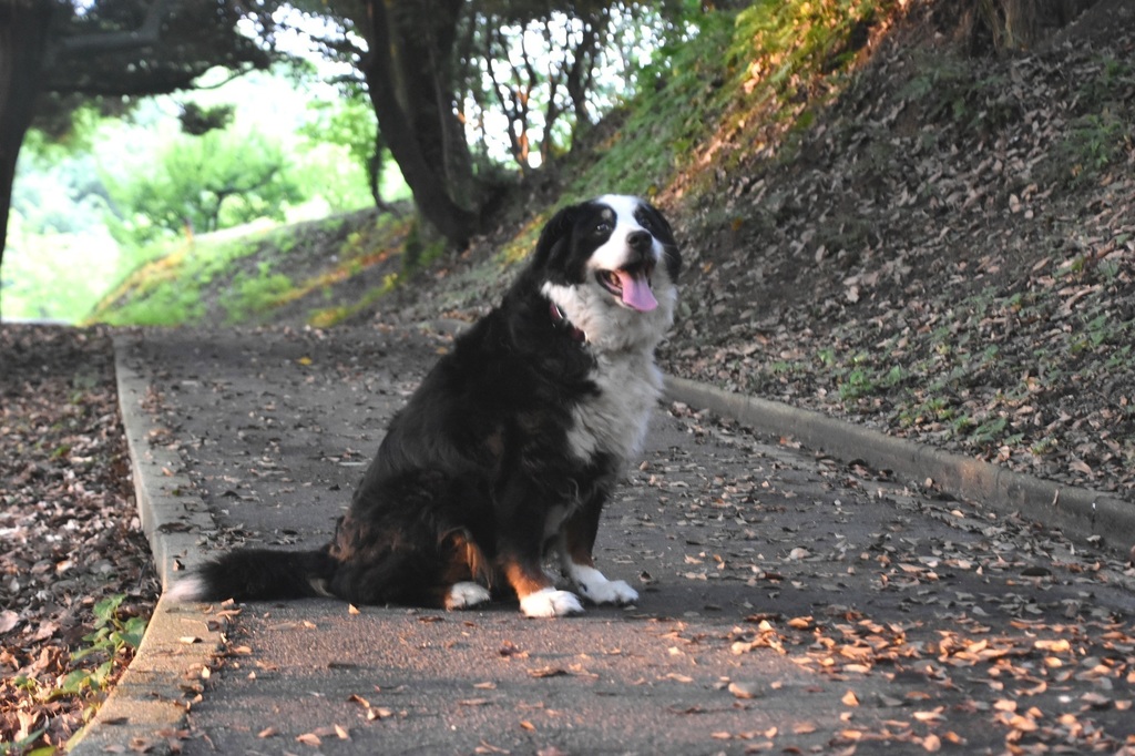 DSC_3246.JPG