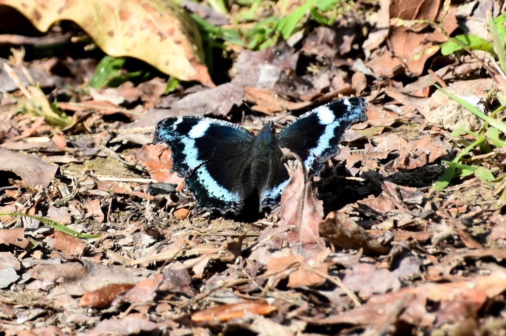 DSC_7534.JPG