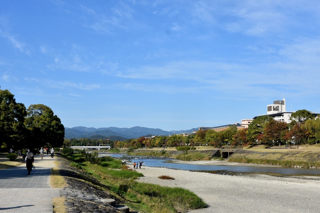DSC_7999.JPG