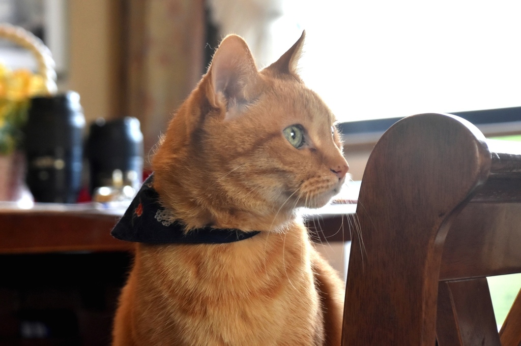 DSC_0481.JPG