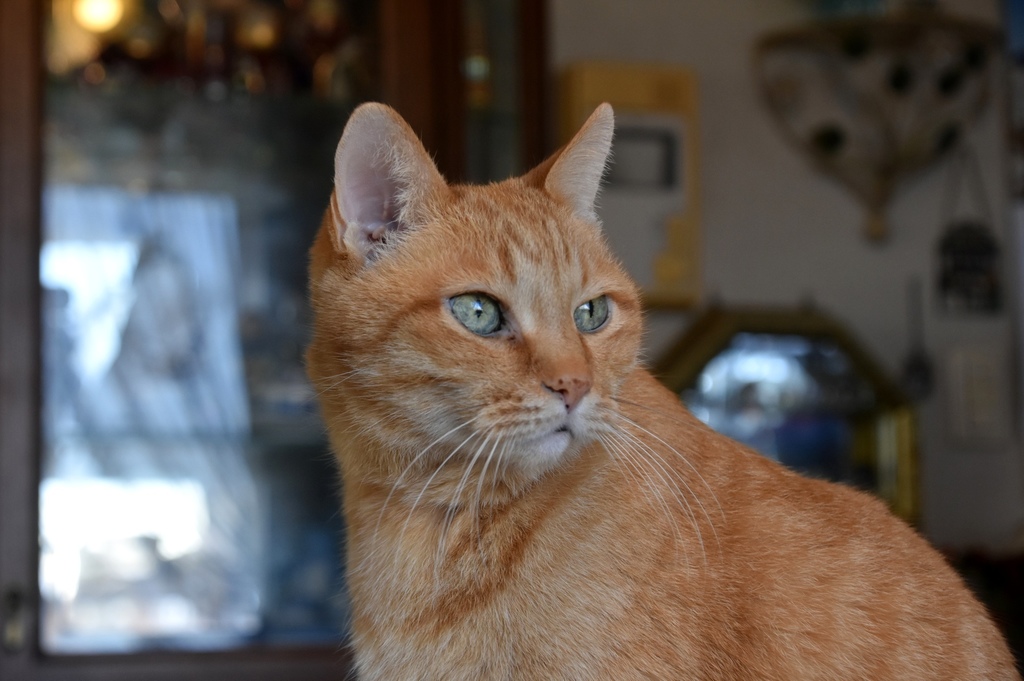 DSC_1638.JPG