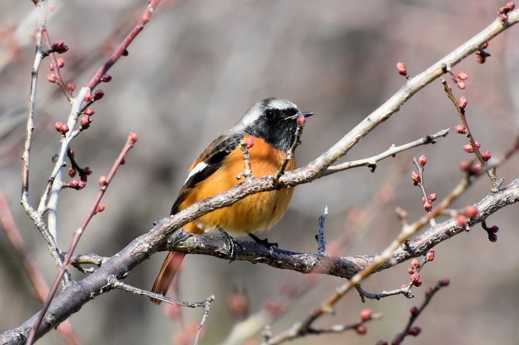 DSC_5770.JPG