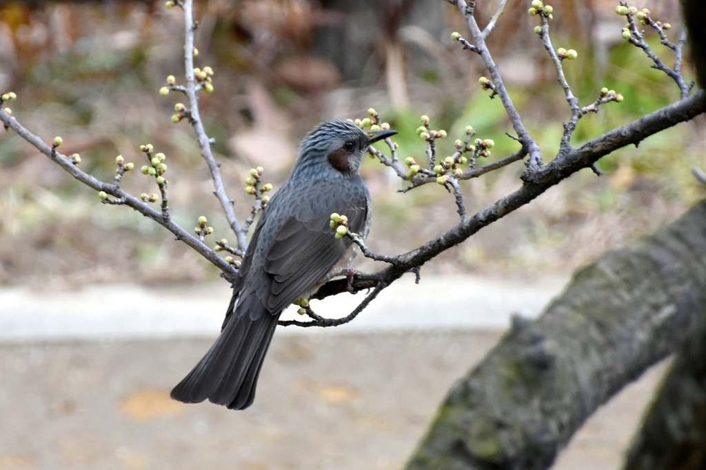 DSC_8969.JPG