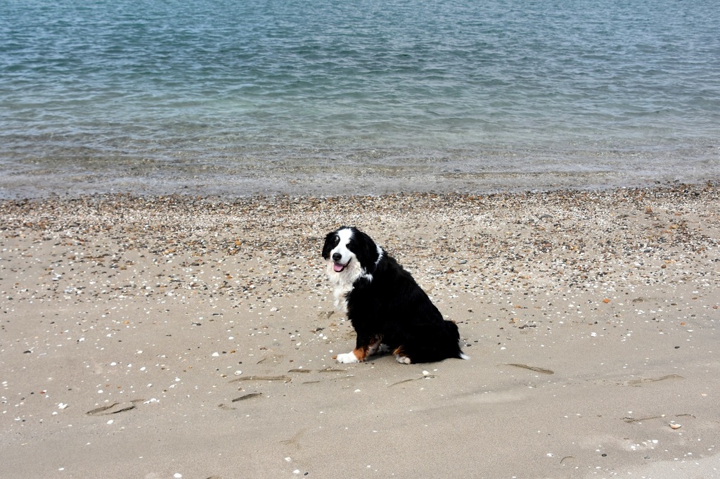 DSC_9386.JPG
