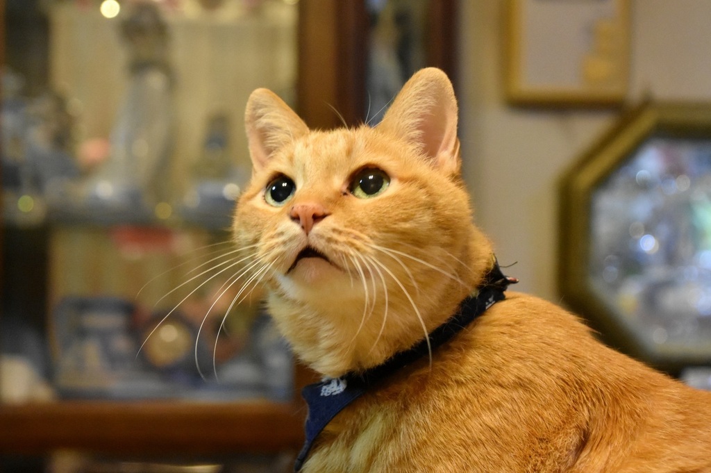 DSC_0074.JPG