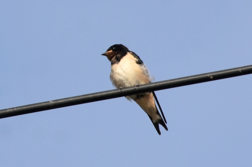 DSC_8057.JPG
