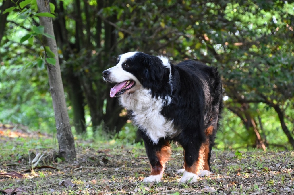 DSC_8040.JPG