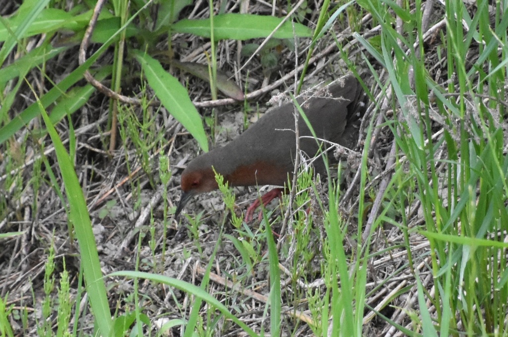 DSC_8969.JPG