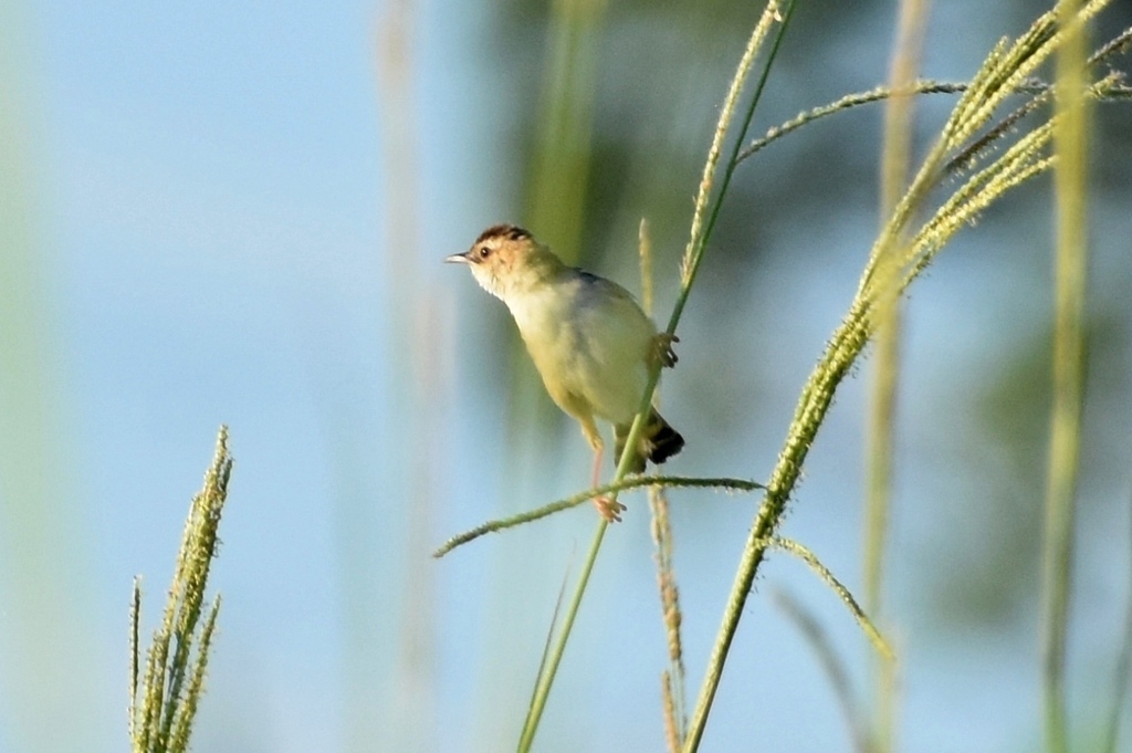 DSC_9970.JPG