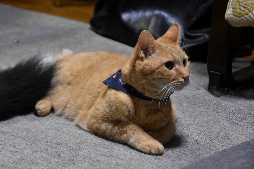 DSC_0417.JPG