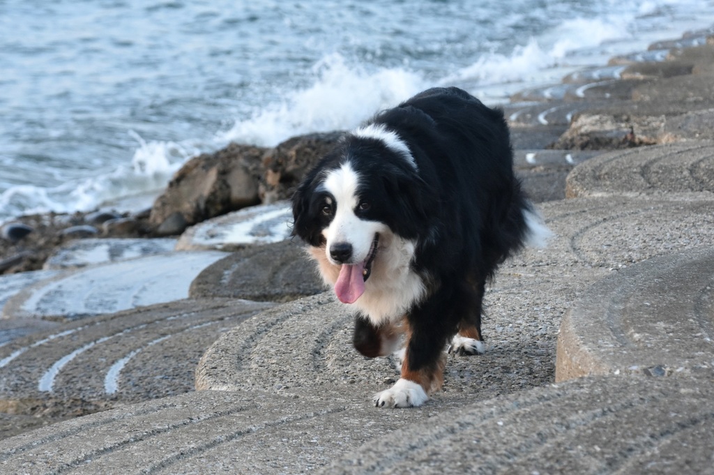 DSC_2540.JPG