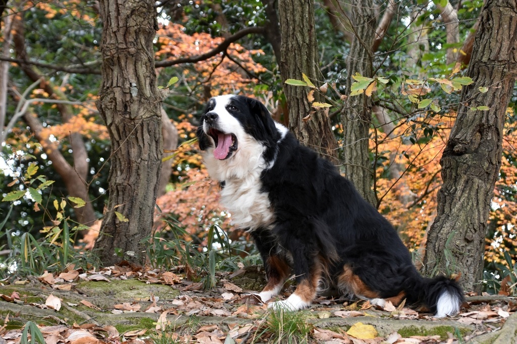 DSC_7324.JPG
