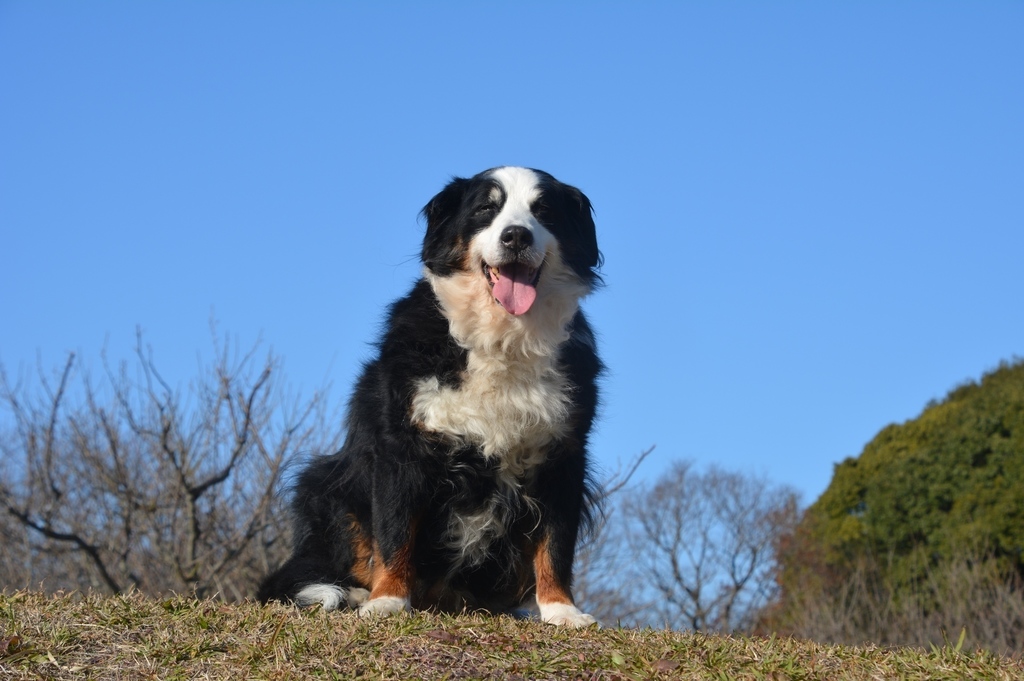 DSC_0804.JPG