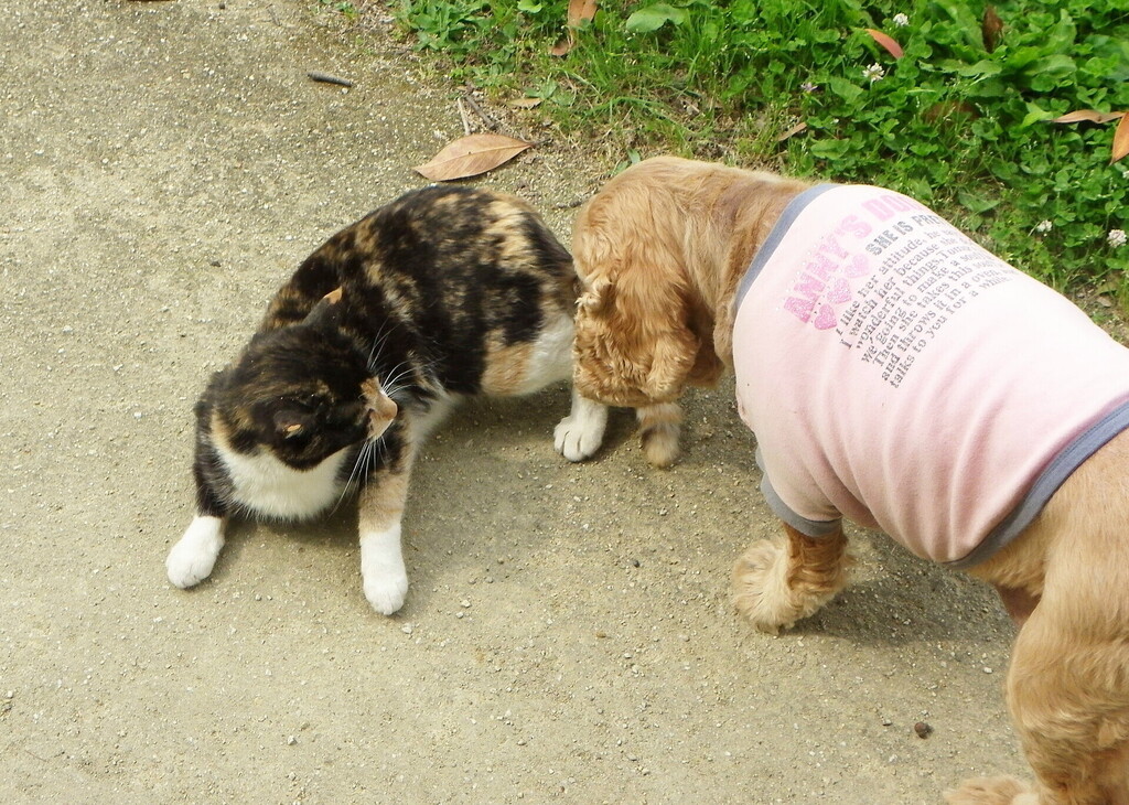 2012.05.24 054.jpg