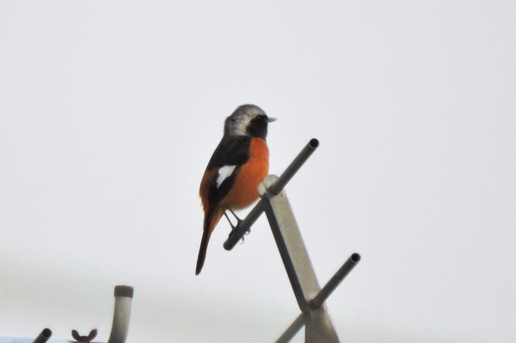 DSCN8266.JPG
