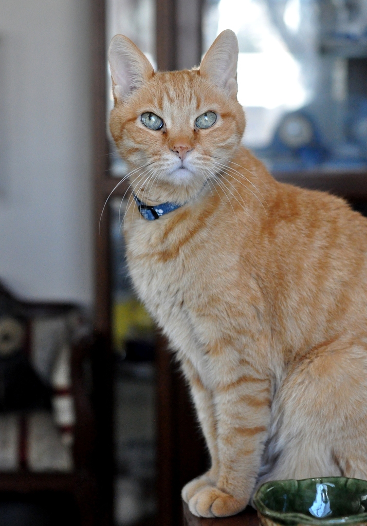 DSC_0010 - コピー.JPG