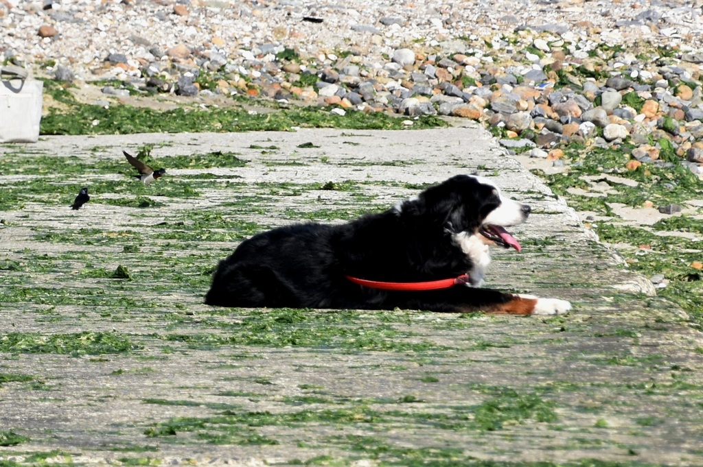 DSC_1002.JPG