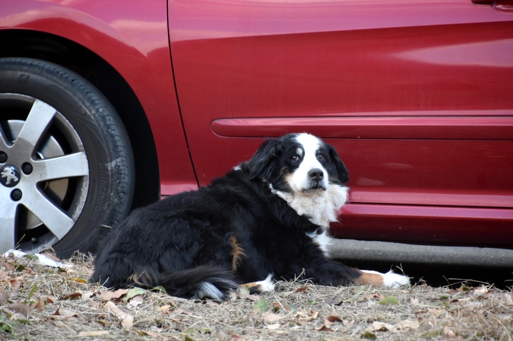 DSC_2145.JPG