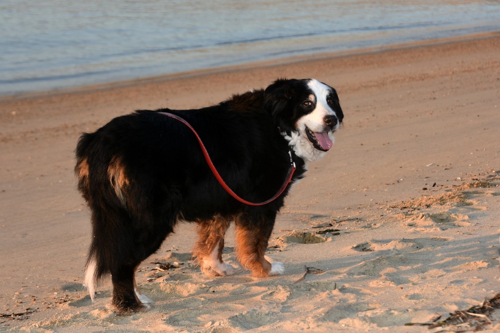 DSC_2187.JPG