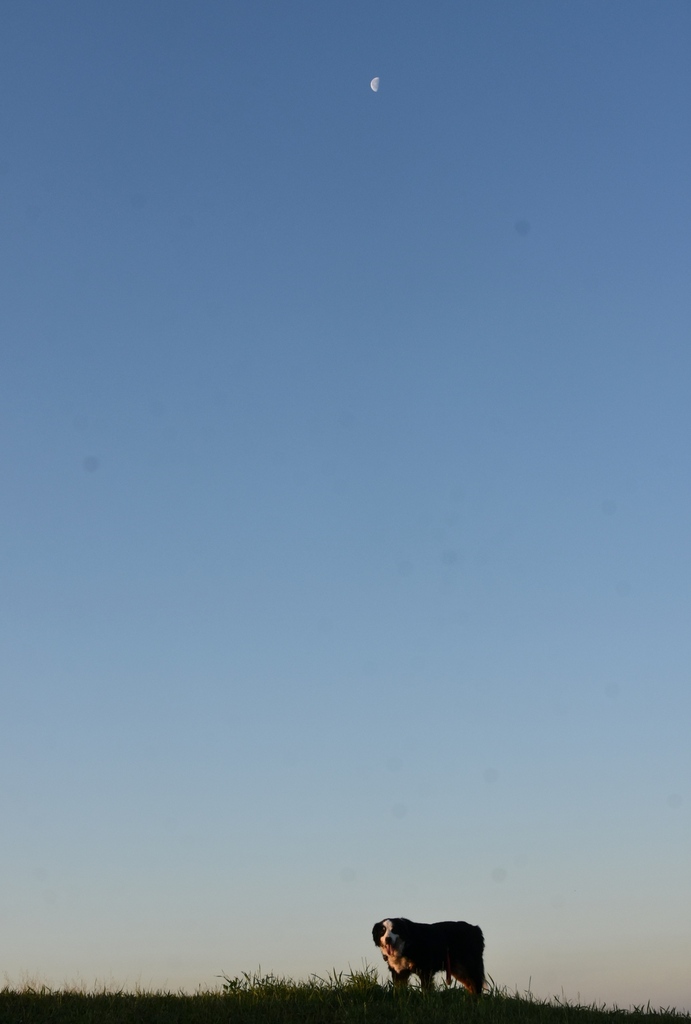 DSC_2204.JPG