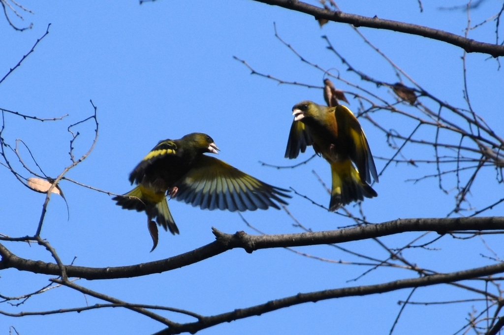 DSC_2418.JPG