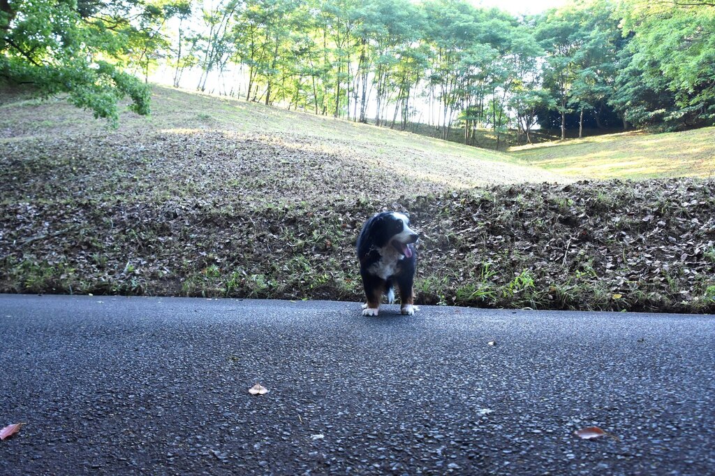 DSC_3097.JPG