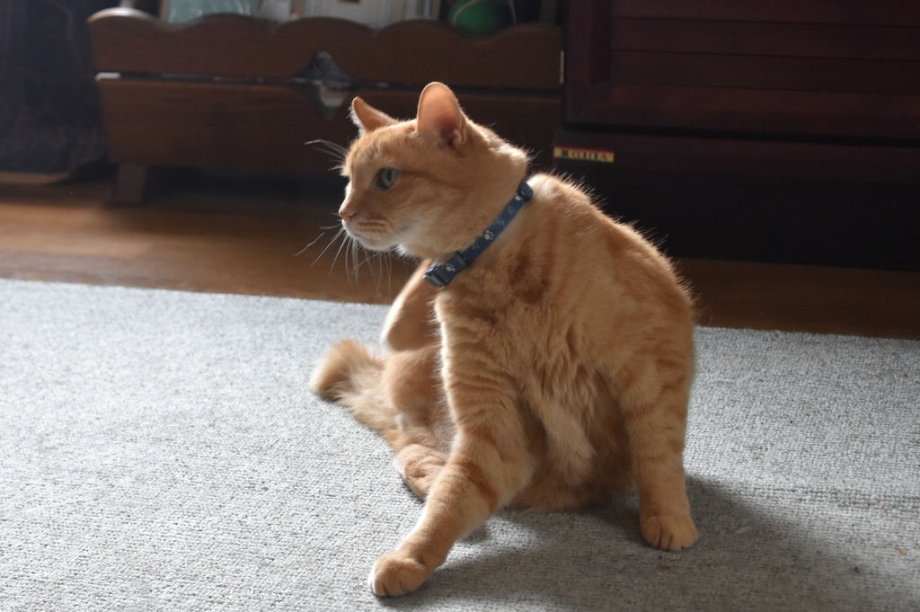 DSC_3243.JPG