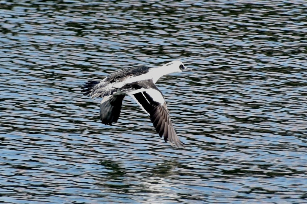 DSC_4712.JPG