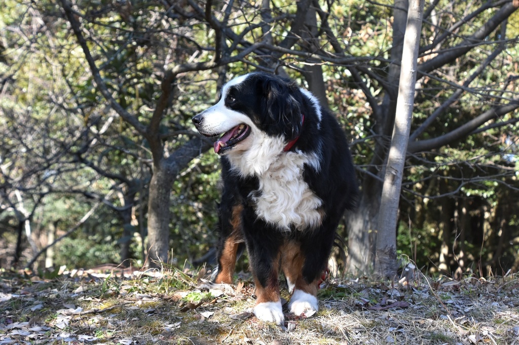 DSC_5142.JPG