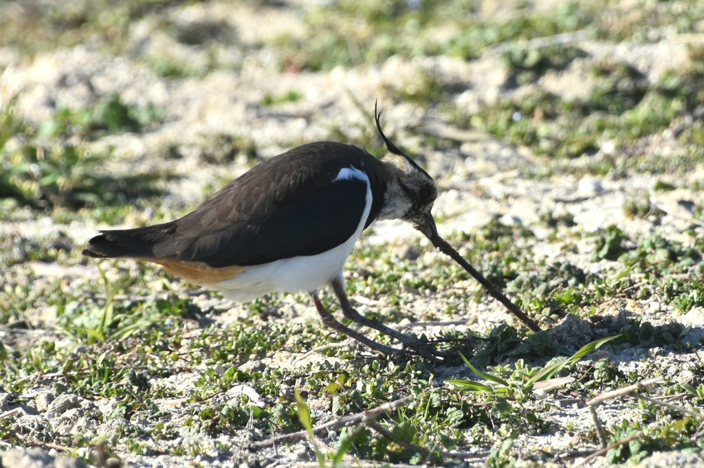 DSC_5420.JPG