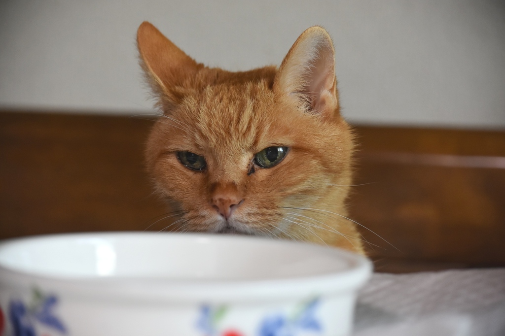 DSC_5564.JPG