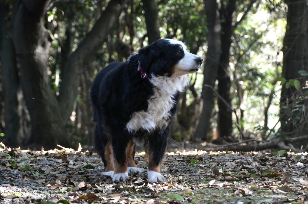 DSC_5586.JPG
