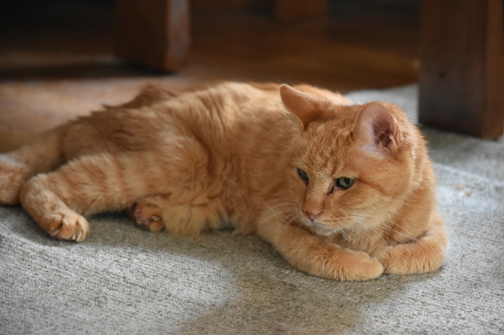 DSC_5589.JPG