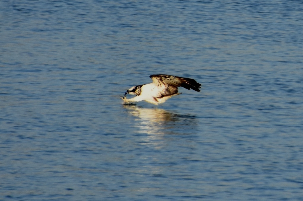 DSC_6496.JPG
