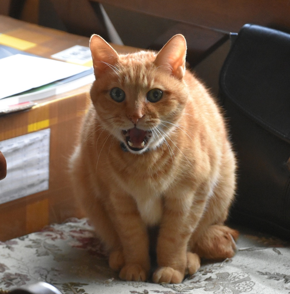 DSC_7640 - コピー.JPG