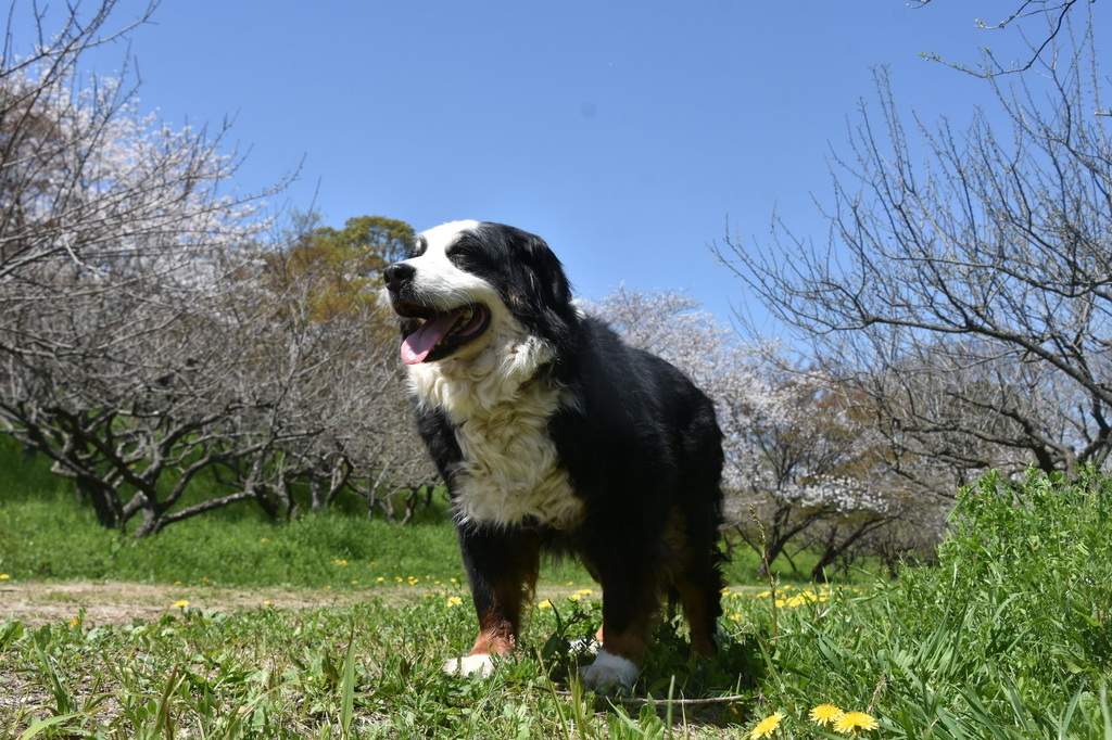DSC_7661.JPG